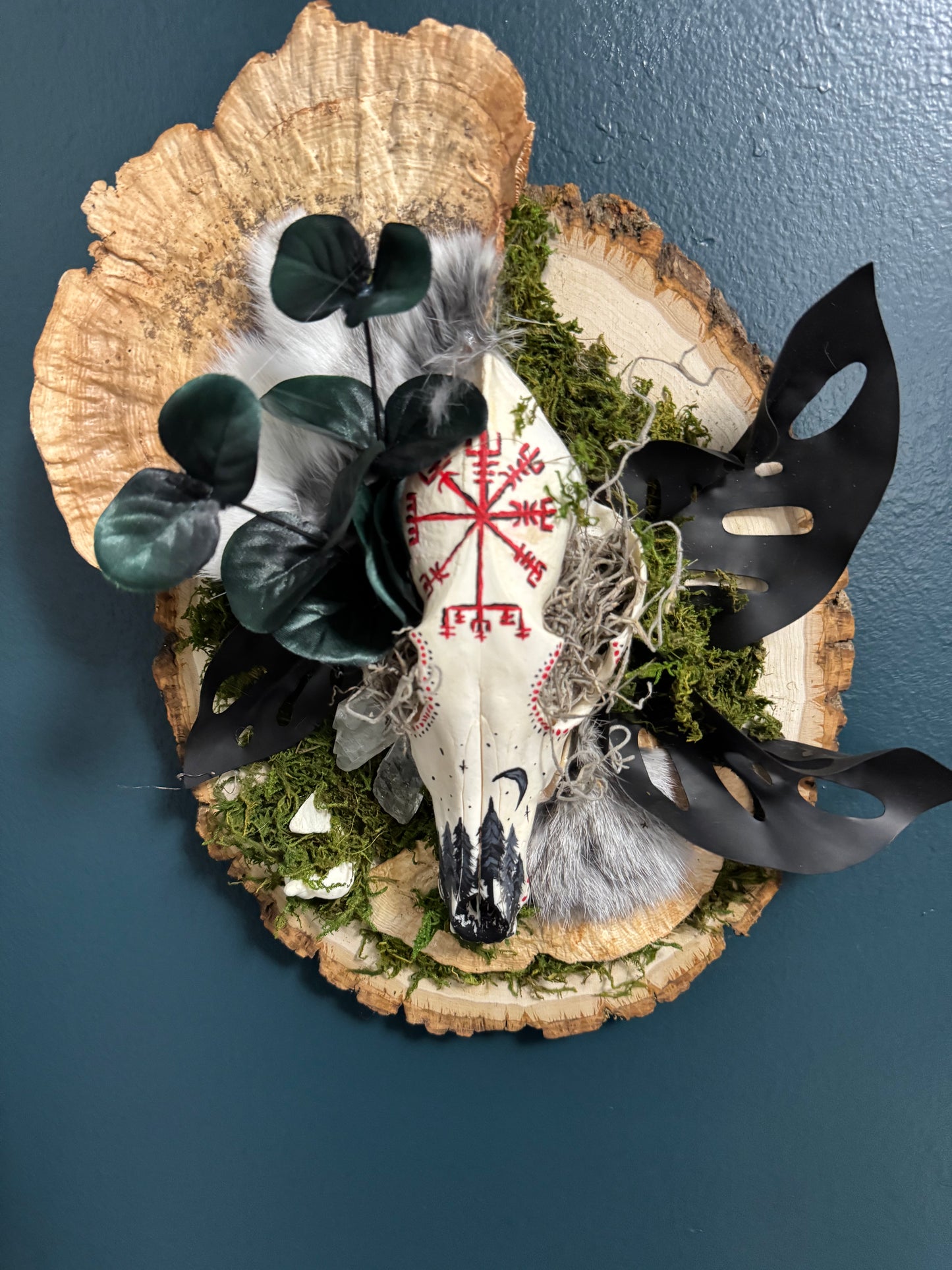 Coyote skull Vegvisir