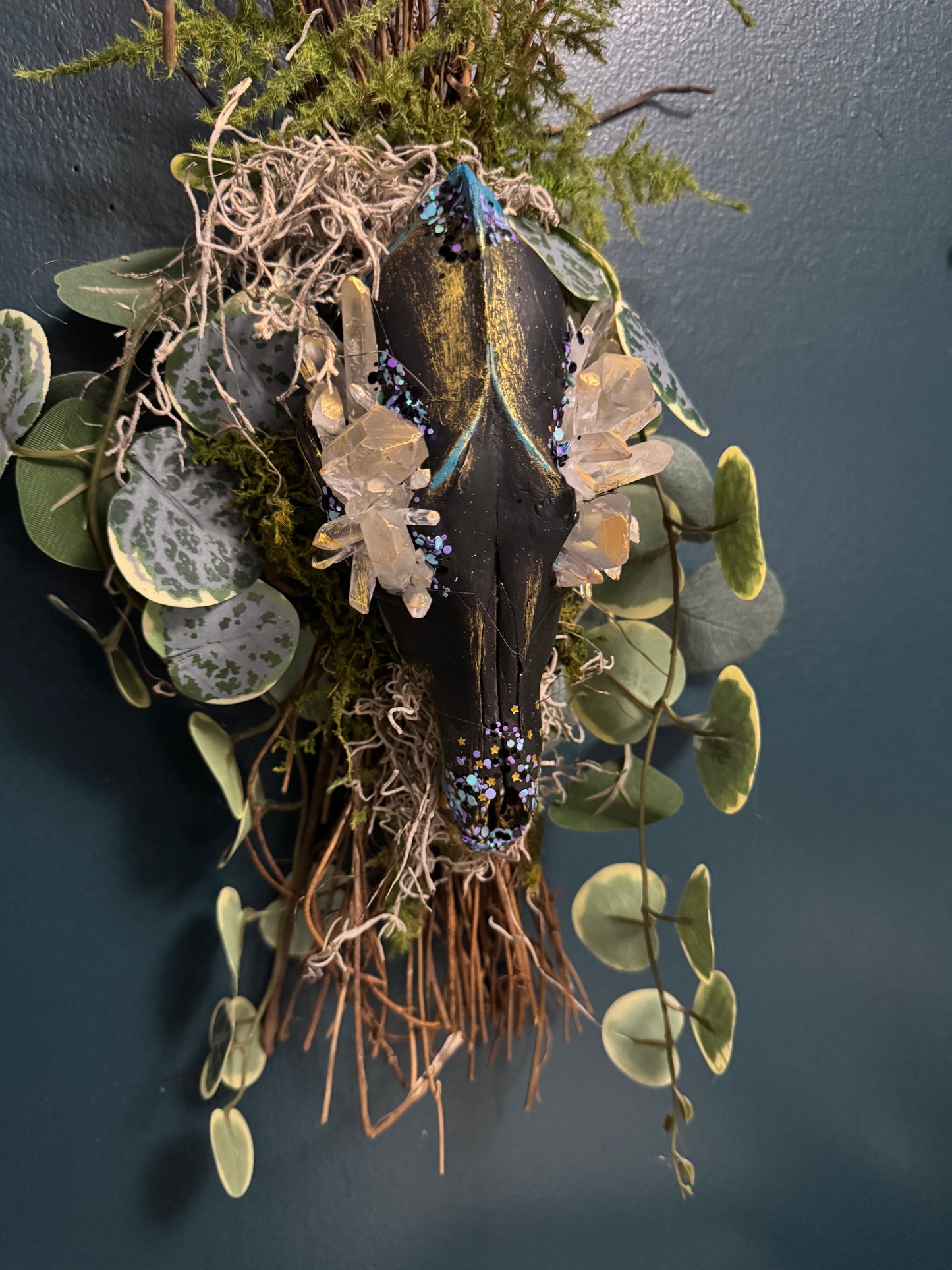 Eucalyptus coyote skull
